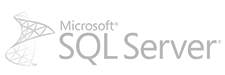 Microsoft SQL Logo